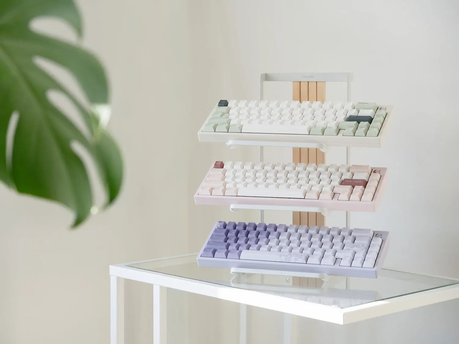 Trois claviers osume aux couleurs pastel sur un présentoir, près d’une plante